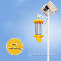 Solar Mosquito Killing Light solar light bug zapper Supplier